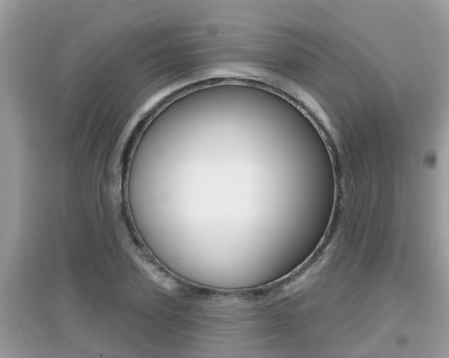 X0000095110931200712070916