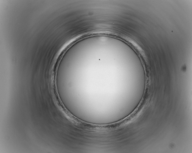 X0000095110933200712070916