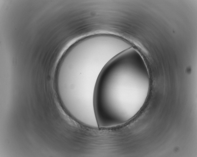 X0000095110934200712070916