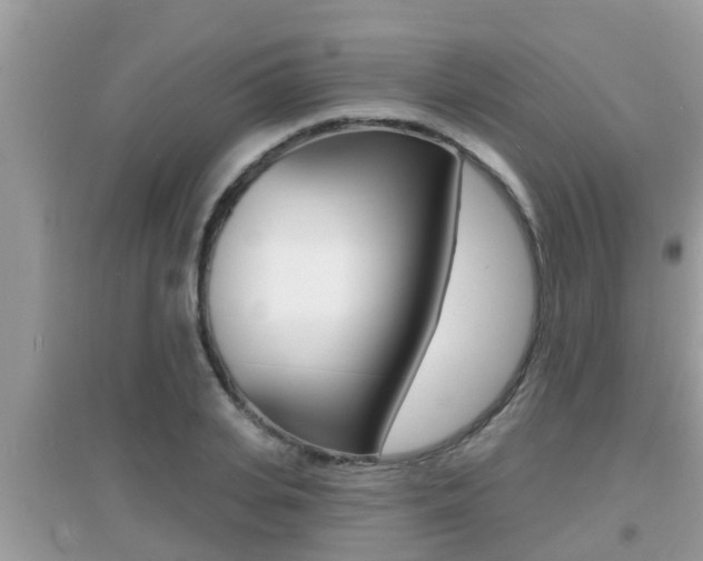 X0000095110935200712070916