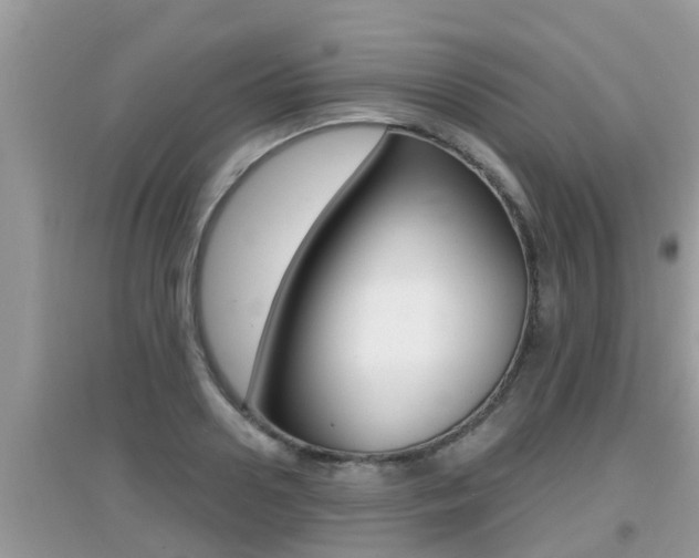 X0000095110938200712070916