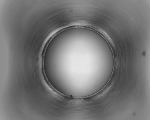 X0000095110939200712070916