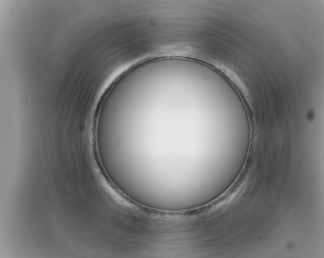 X0000095110941200712070916