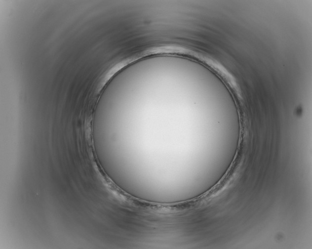 X0000095110945200712070916