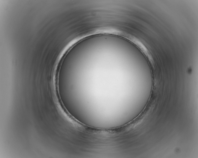 X0000095110947200712070916