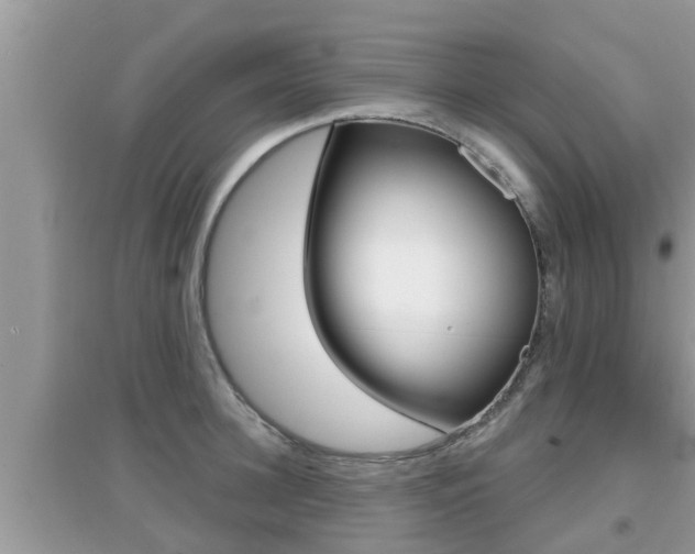 X0000095110948200712070916