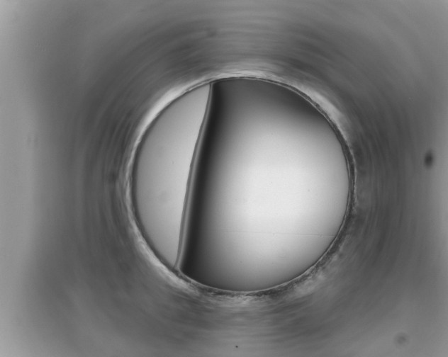 X0000095110949200712070916