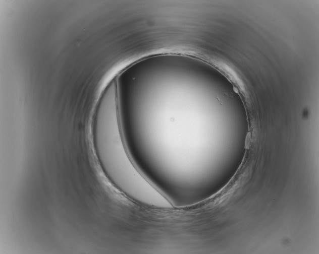 X0000095110952200712070916