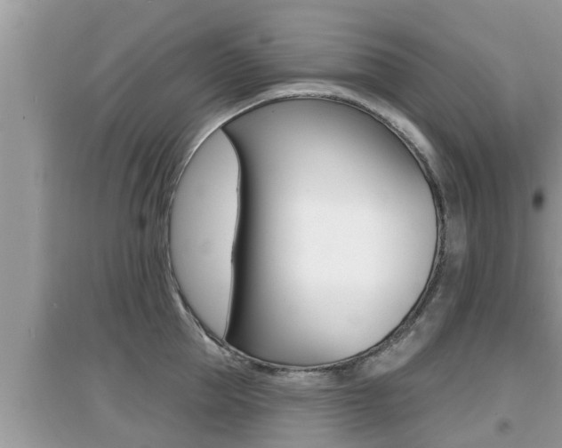 X0000095110953200712070916