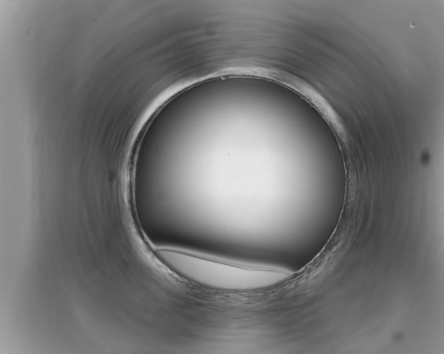 X0000095110955200712070916