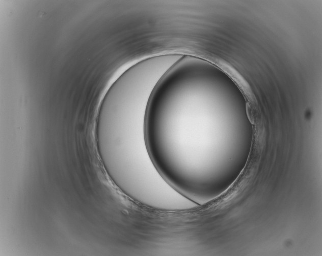 X0000095110956200712070916