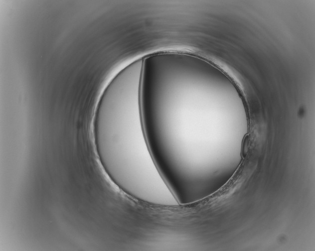 X0000095110959200712070916