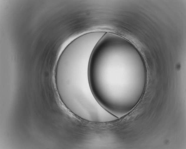 X0000095110960200712070916