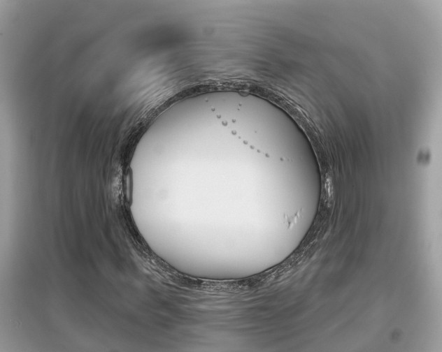X0000095110963200712070916