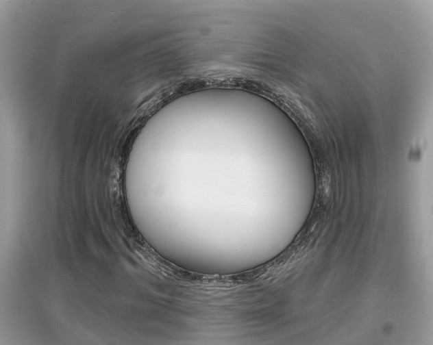 X0000095110964200712070916