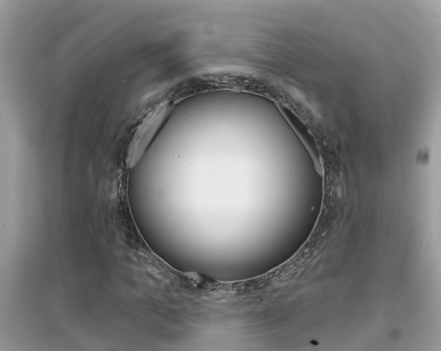 X0000095110965200712070916