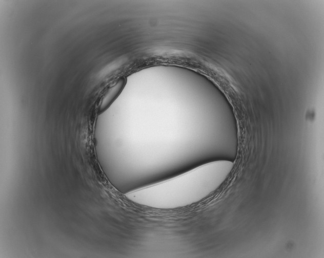 X0000095110966200712070916