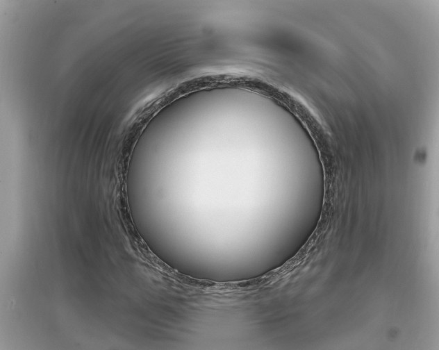 X0000095110967200712070915