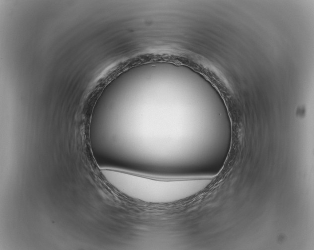 X0000095110968200712070915