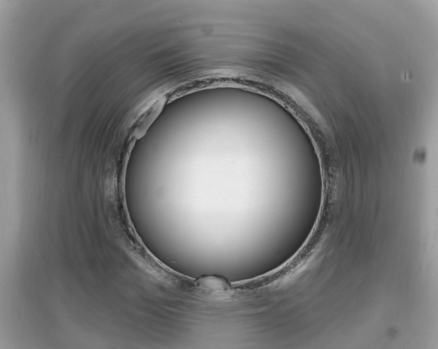 X0000095110969200712070915