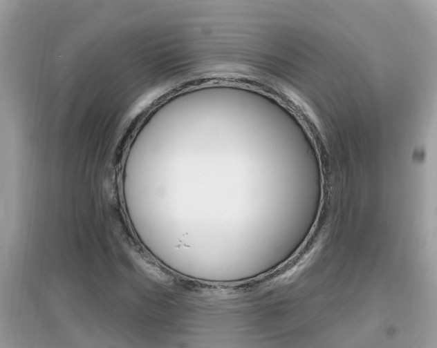 X0000095110970200712070915