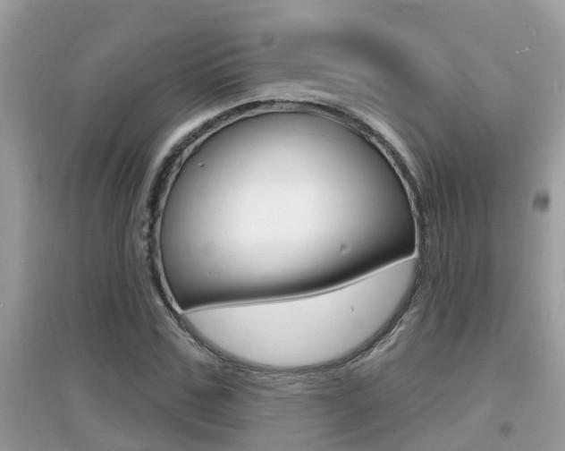 X0000095110971200712070915