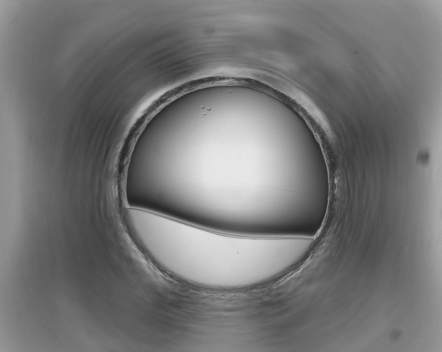 X0000095110972200712070915