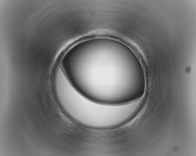 X0000095110973200712070915