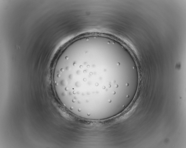 X0000095110974200712070915