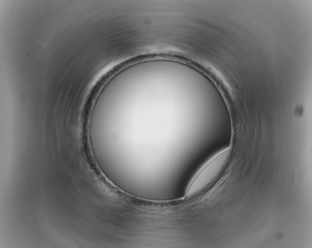 X0000095110975200712070915
