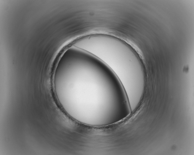X0000095110976200712070915