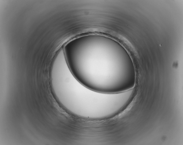 X0000095110977200712070915