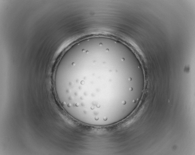 X0000095110978200712070915