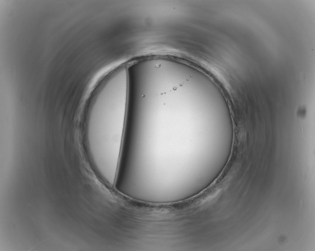 X0000095110979200712070915