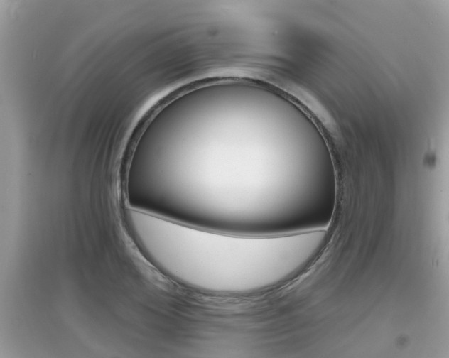 X0000095110980200712070915