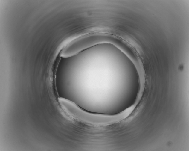 X0000095110981200712070915