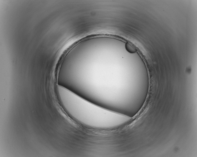 X0000095110982200712070915