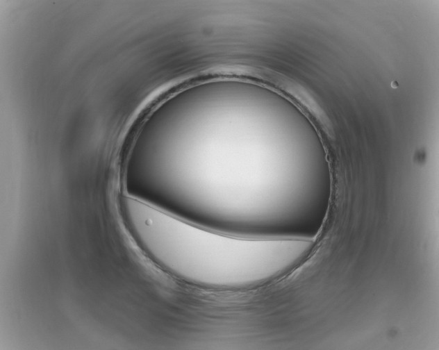 X0000095110984200712070915