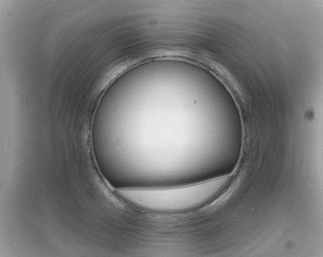 X0000095110985200712070915