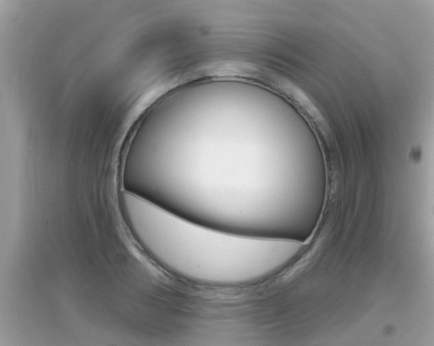 X0000095110986200712070915