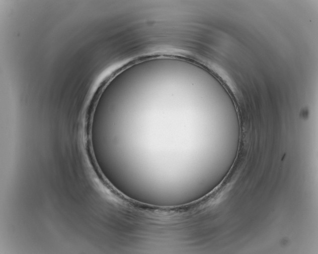 X0000095110987200712070915