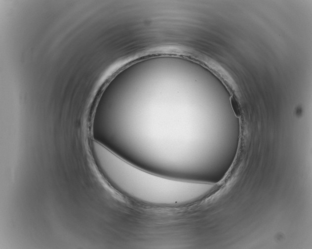 X0000095110989200712070915