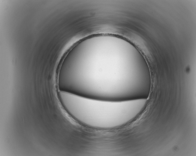X0000095110990200712070915