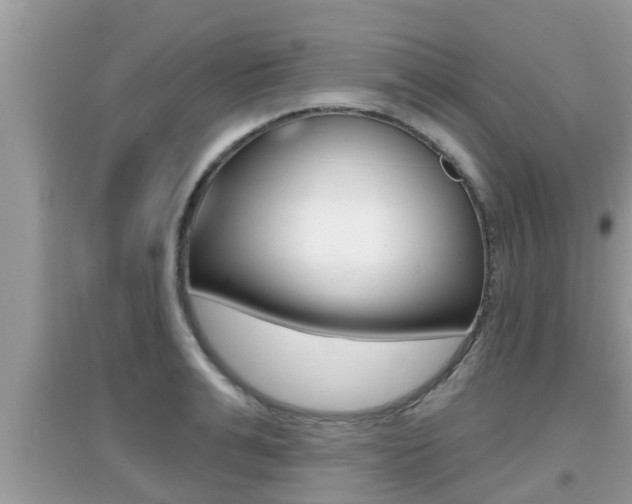 X0000095110991200712070915