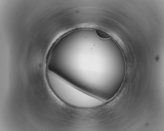 X0000095110992200712070915