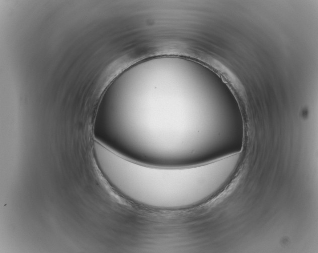 X0000095110993200712070915