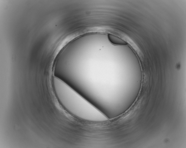 X0000095110994200712070915