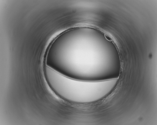 X0000095110995200712070915