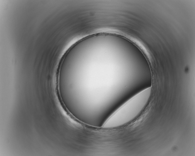X0000095110999200712070915