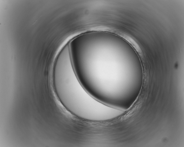 X0000095111000200712070915